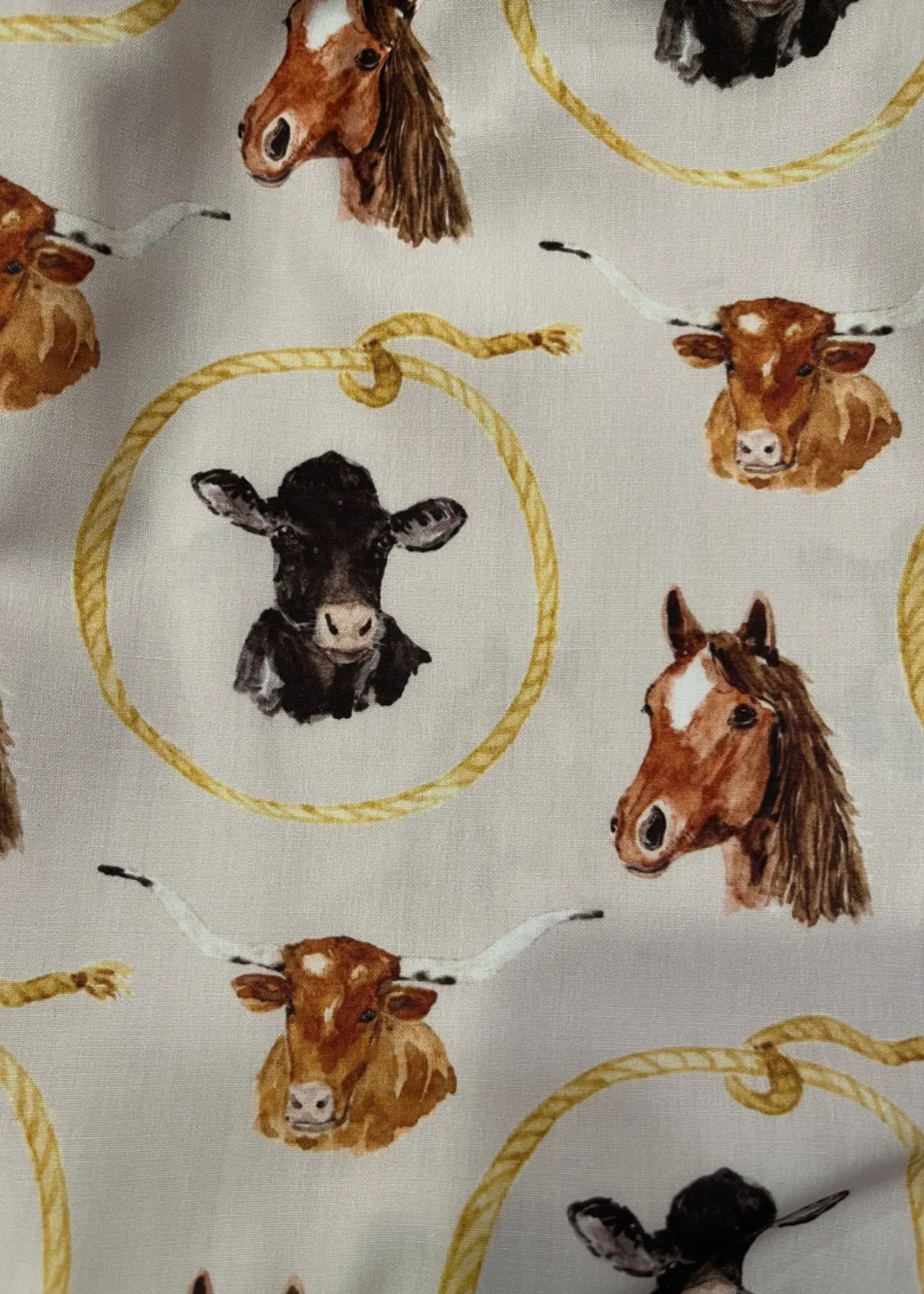 Let’s Rodeo Button Up Shirt